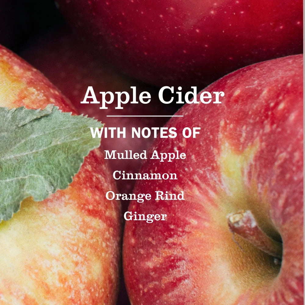 Liquid Hand Soap - Apple Cider