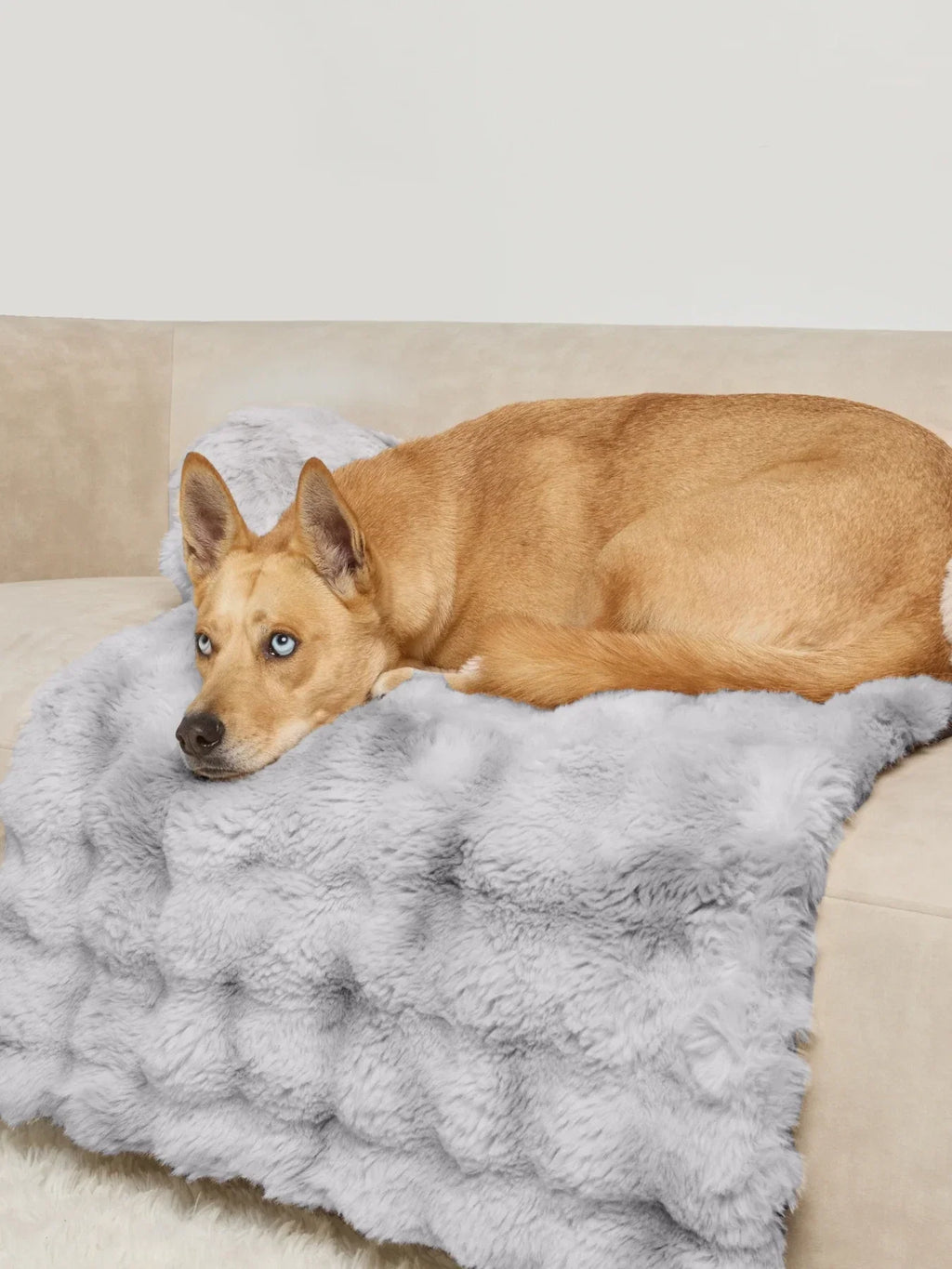 Pet Sofa Bed - Cookies & Cream