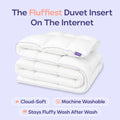 Duvet Insert - Twin/Twin XL