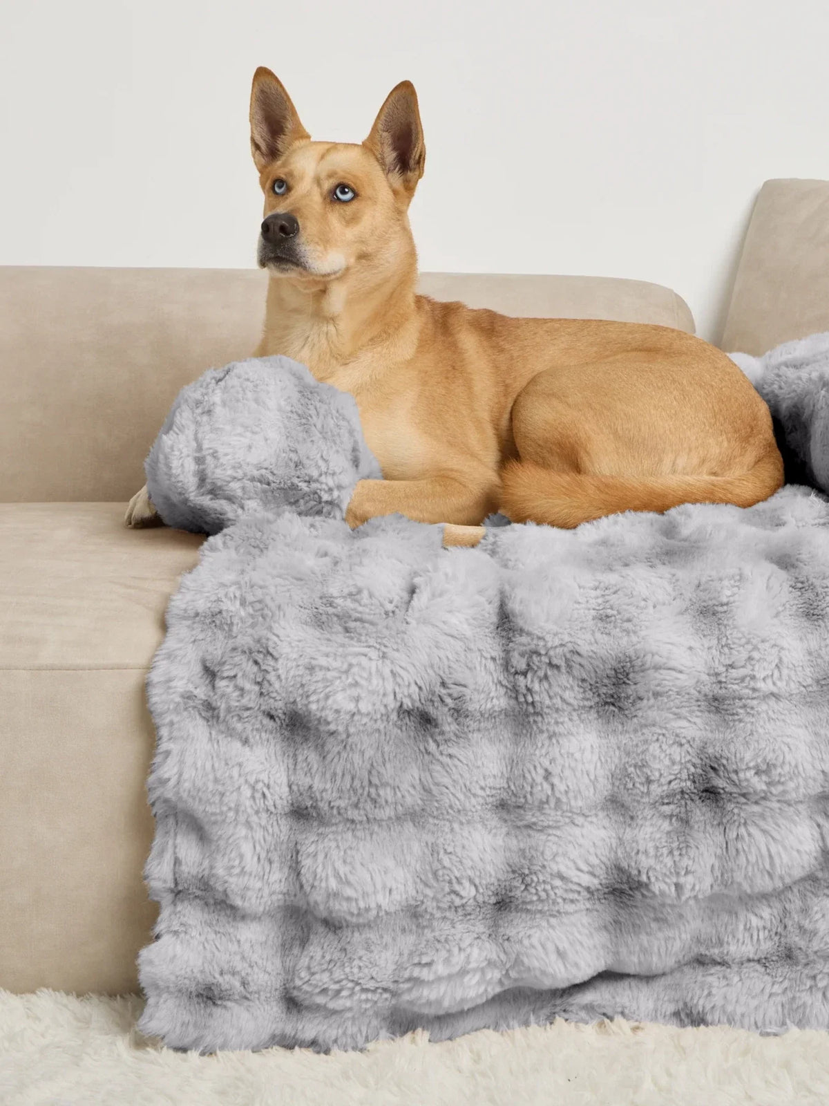 Pet Sofa Bed - Cookies & Cream