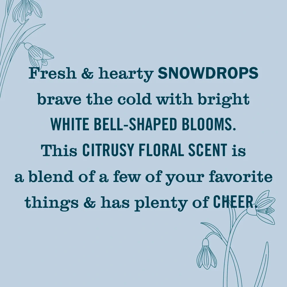 Plug-In Oil Warmer With Refill - Snowdrop