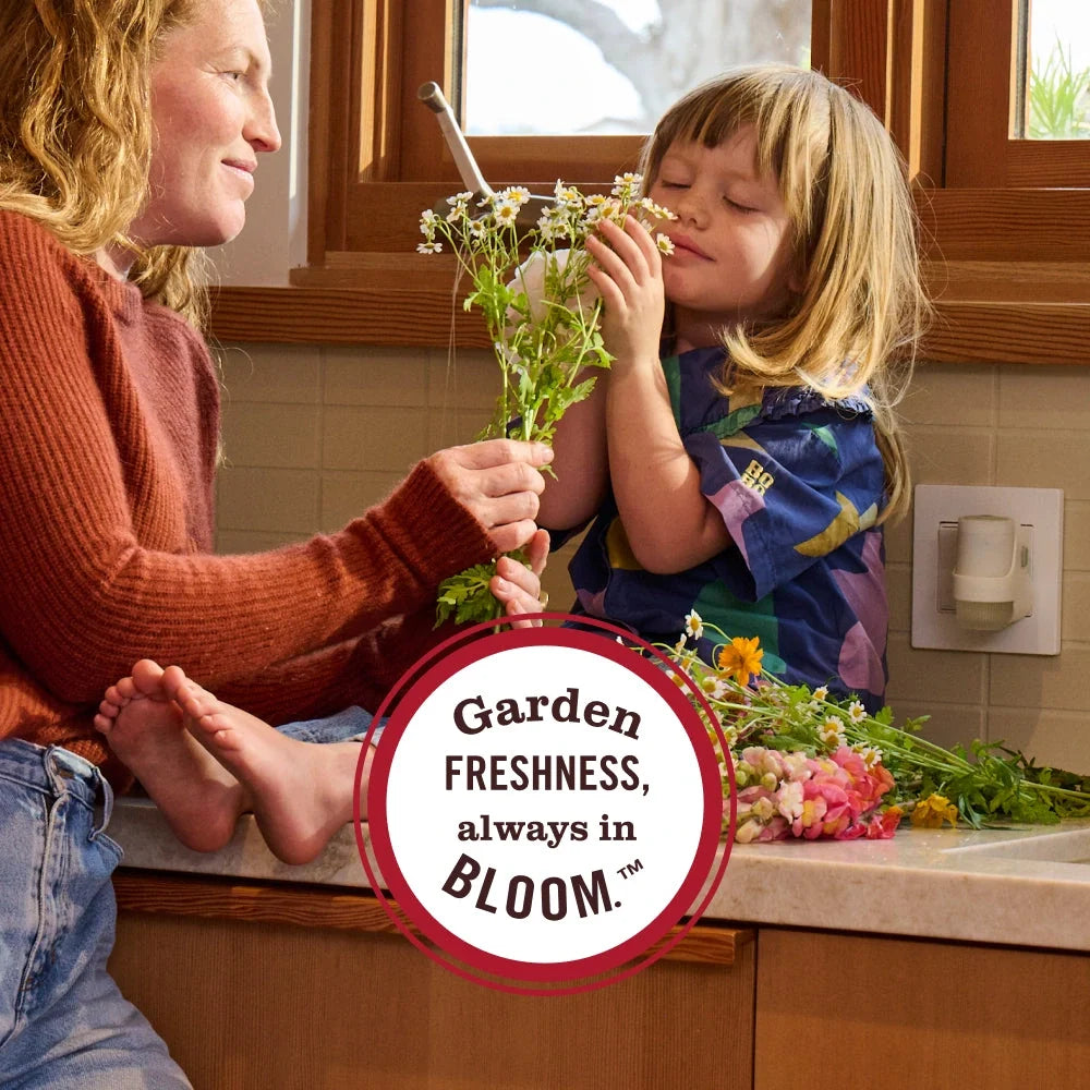 Plug-In Scented Oil Warmer With Refill