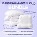 Comforter and 2 Pillow Set