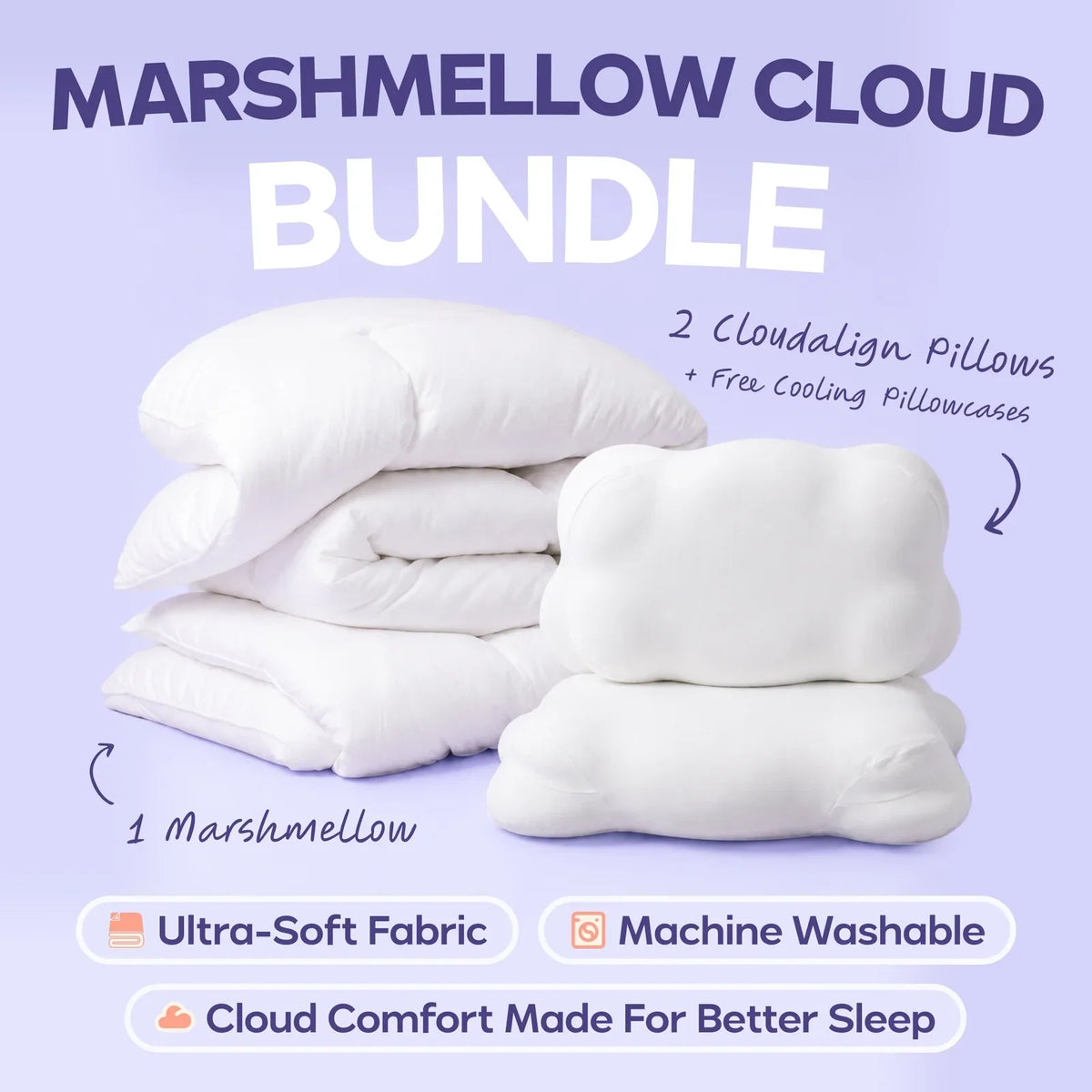 Comforter and 2 Pillow Set