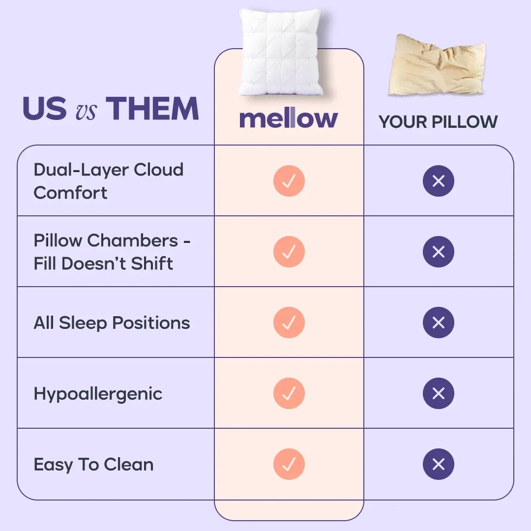 Comforter and 2 Pillow Set
