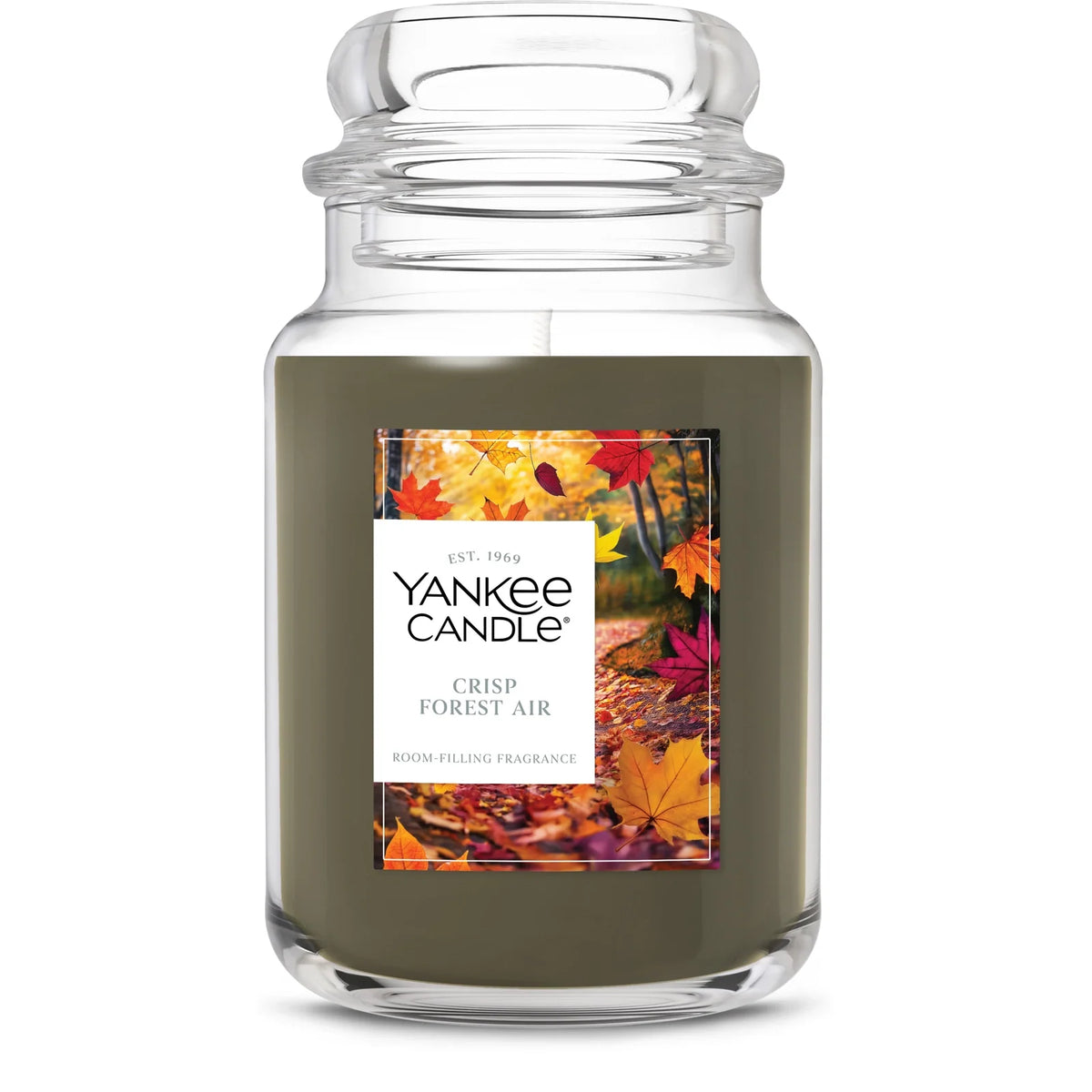 Original Jar Candle - Crisp Forest Air
