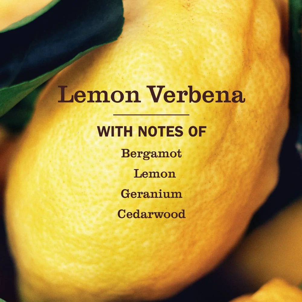 Multi-Surface Cleaner - Lemon Verbena