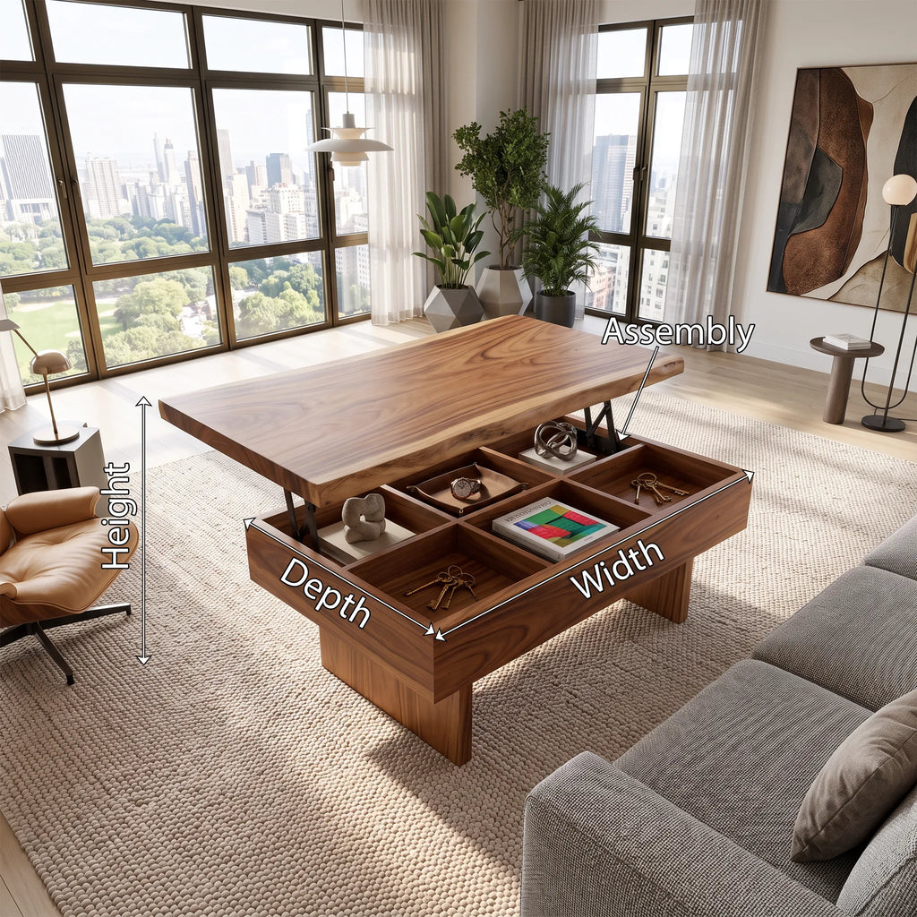 Contemporary Storage Lift Top Coffee Table City Apartment