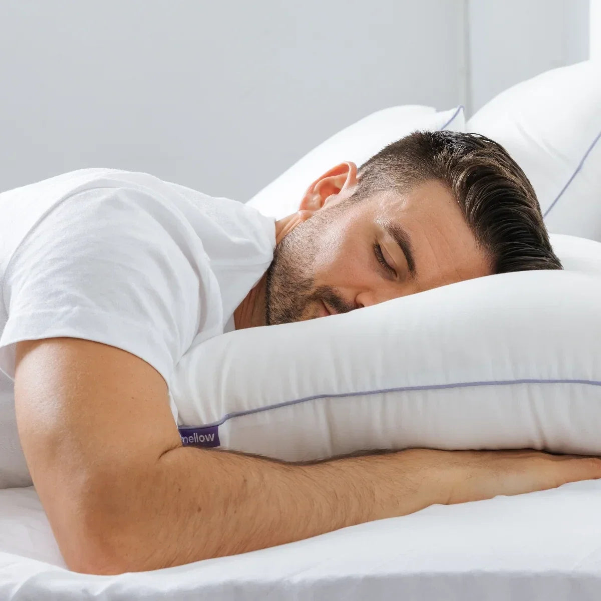 Waterproof Stain-Resistant Bed Pillow 2-Pack - King