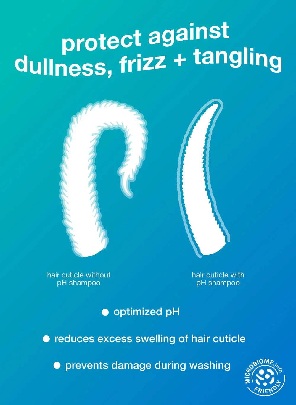 Jumbo Protective Hair Shampoo