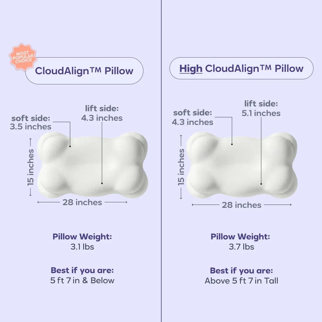 Comforter and 2 Pillow Set