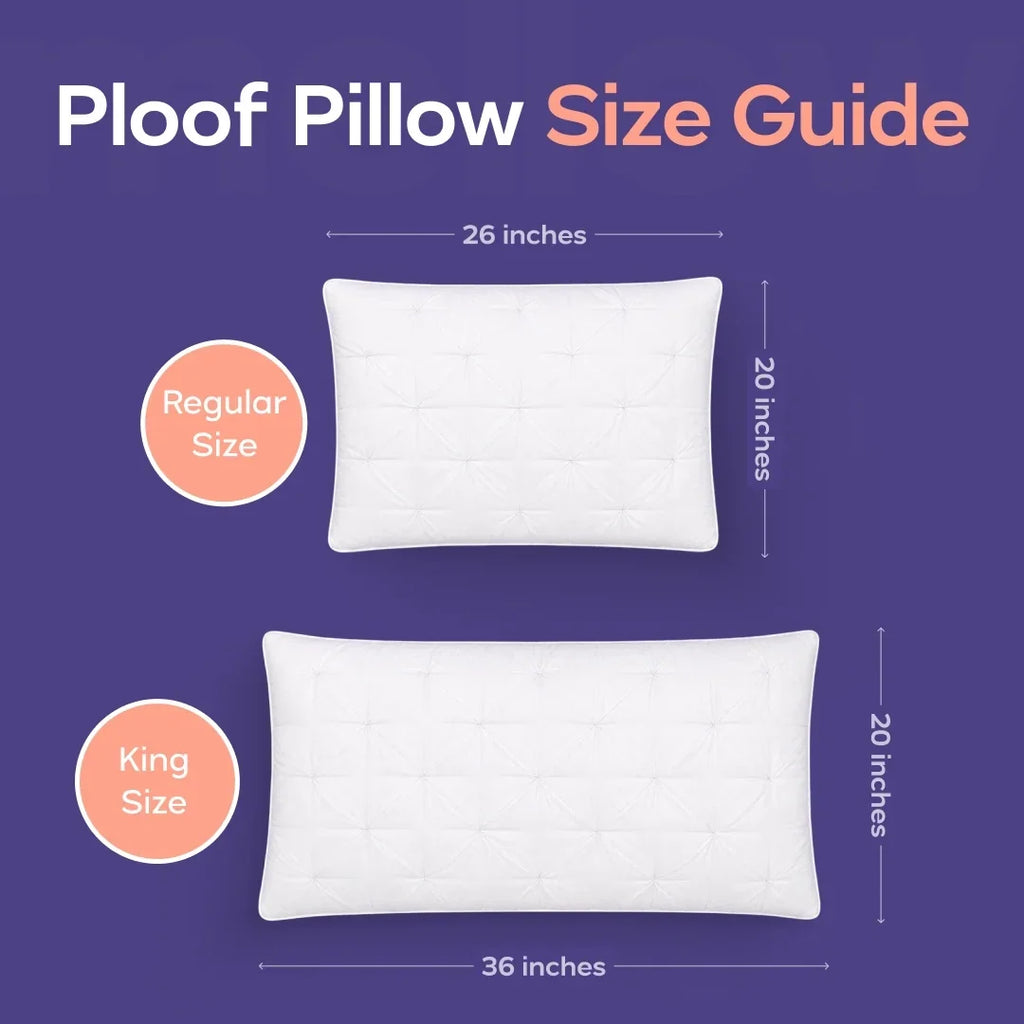 Comforter and 2 Pillow Set