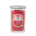 Large Tumbler Candle - Santa Skiing