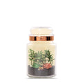 Glass Terrarium Plug-In Diffuser