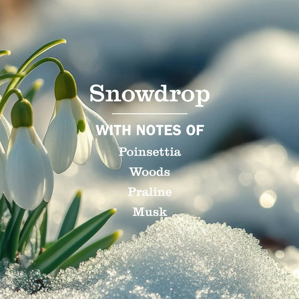 Plug-In Oil Warmer With Refill - Snowdrop