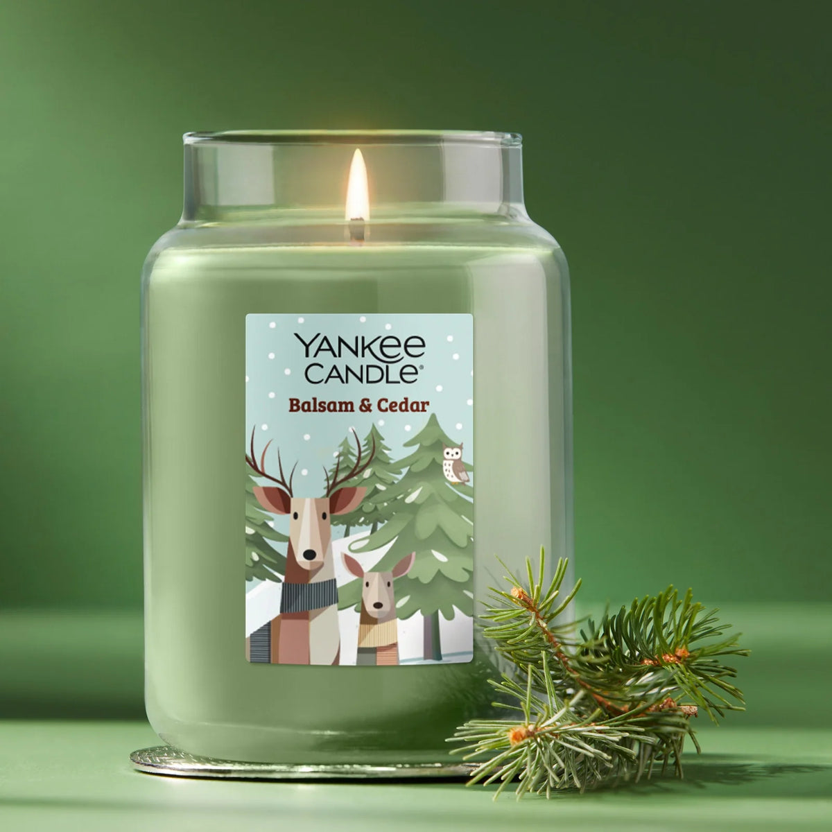Large Jar Candle - Balsam & Cedar