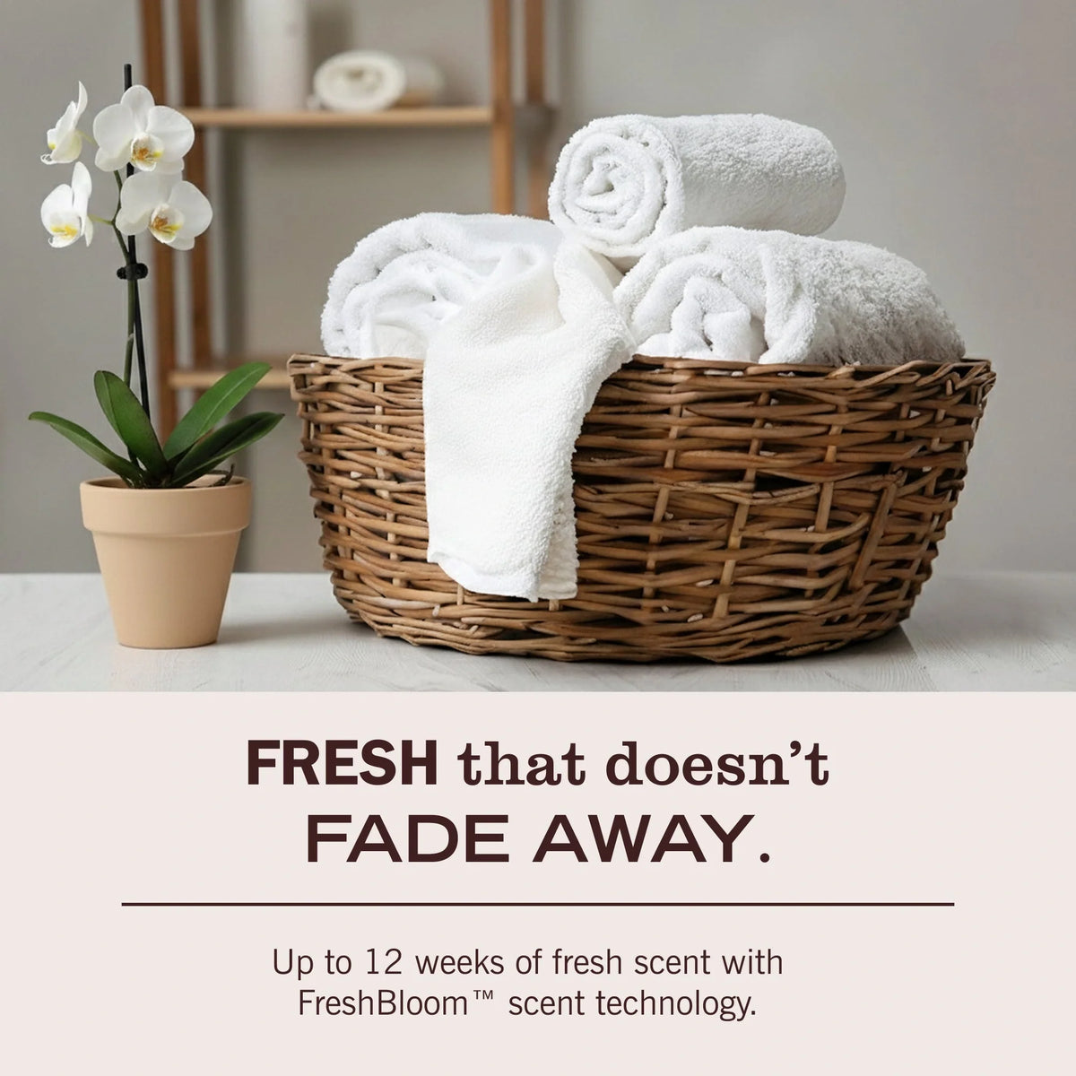 Laundry Scent Booster - Rain Water