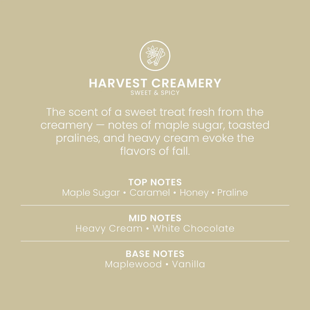 Large Jar Candle - Sweet Creamery
