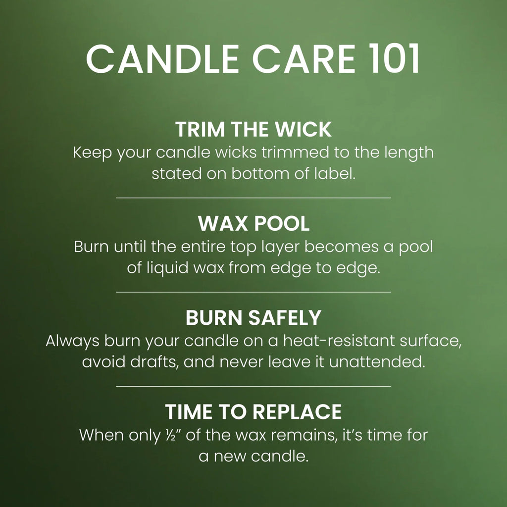 Large Jar Candle - Balsam & Cedar