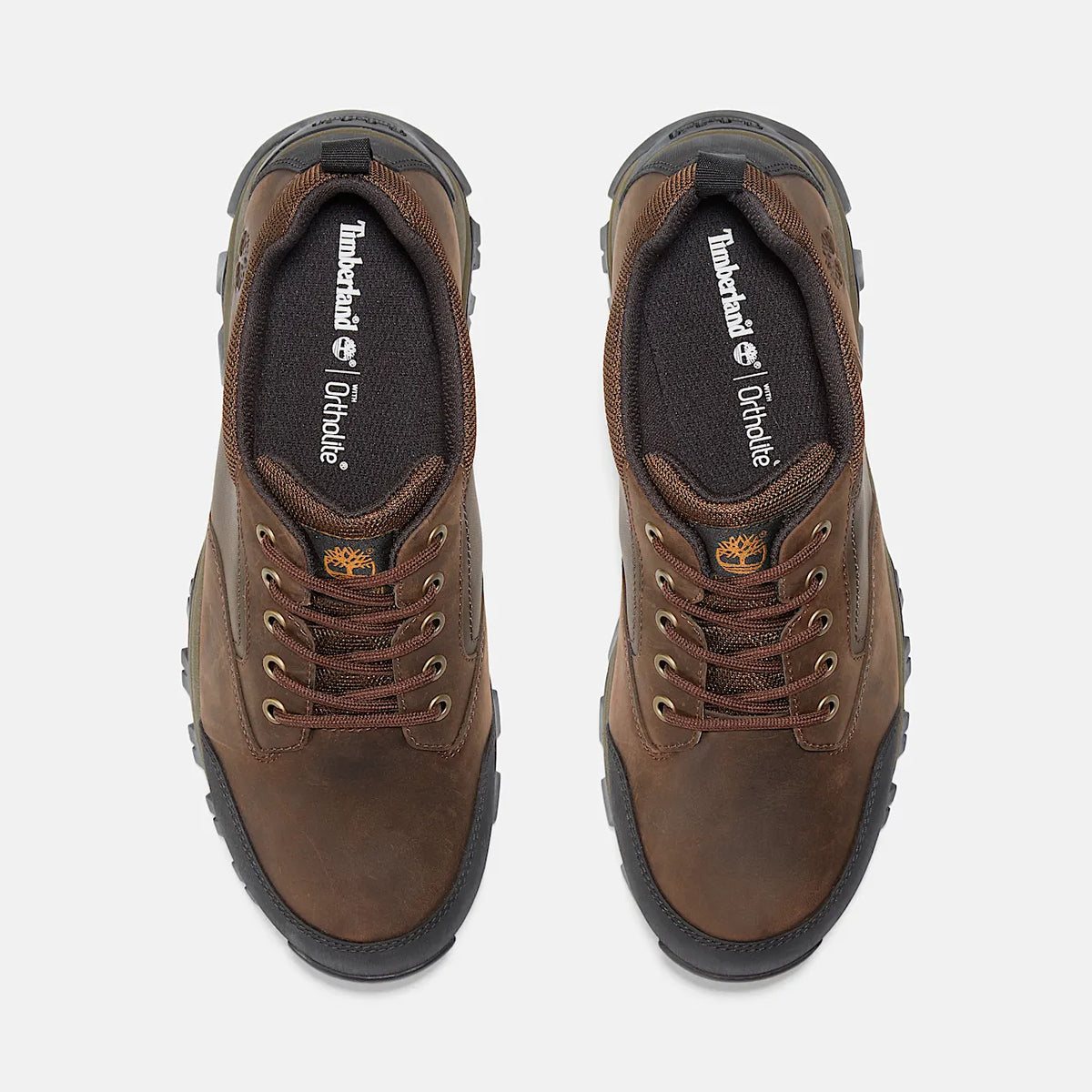 Men's Waterproof Low Hiking Shoe