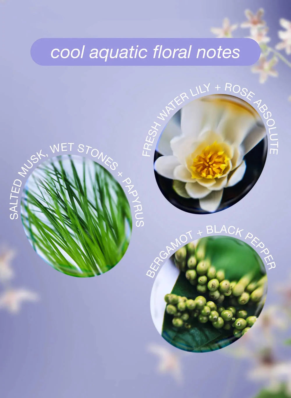 Scented Leave-In Repair Hair Mask