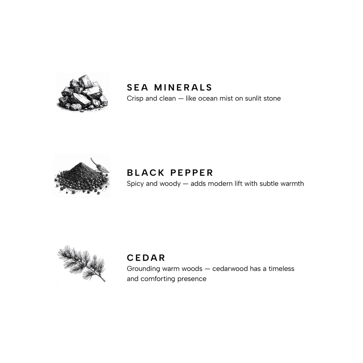 Marine Reed Diffuser