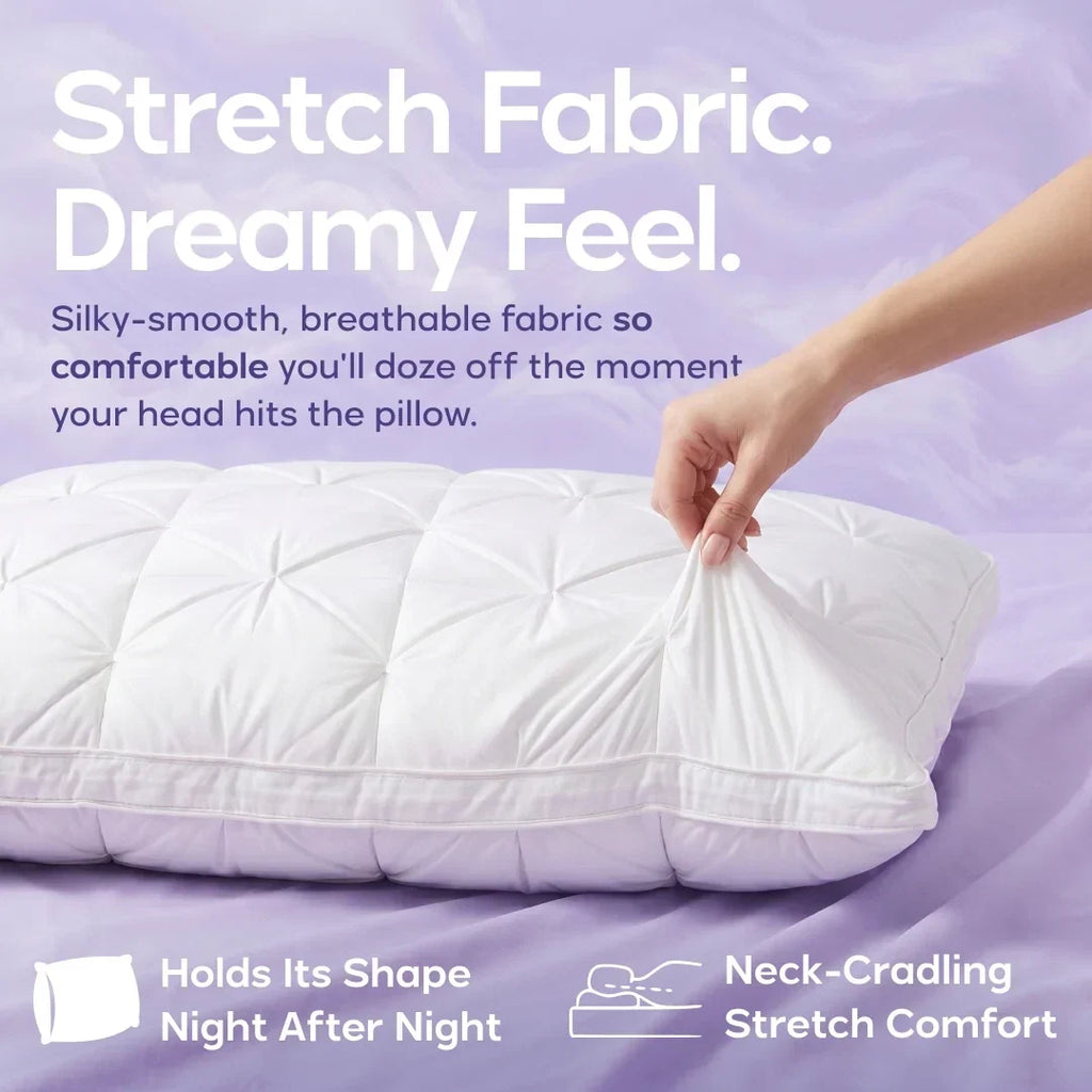 Comforter and 2 Pillow Set
