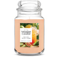 Large Jar Candle - Guava Cider