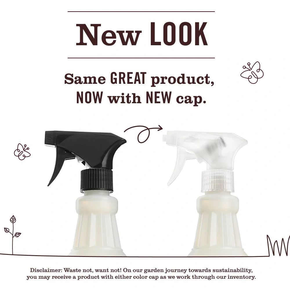 Multi-Surface Cleaner - Lilac
