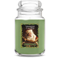 Large Jar Candle - Balsam & Cedar