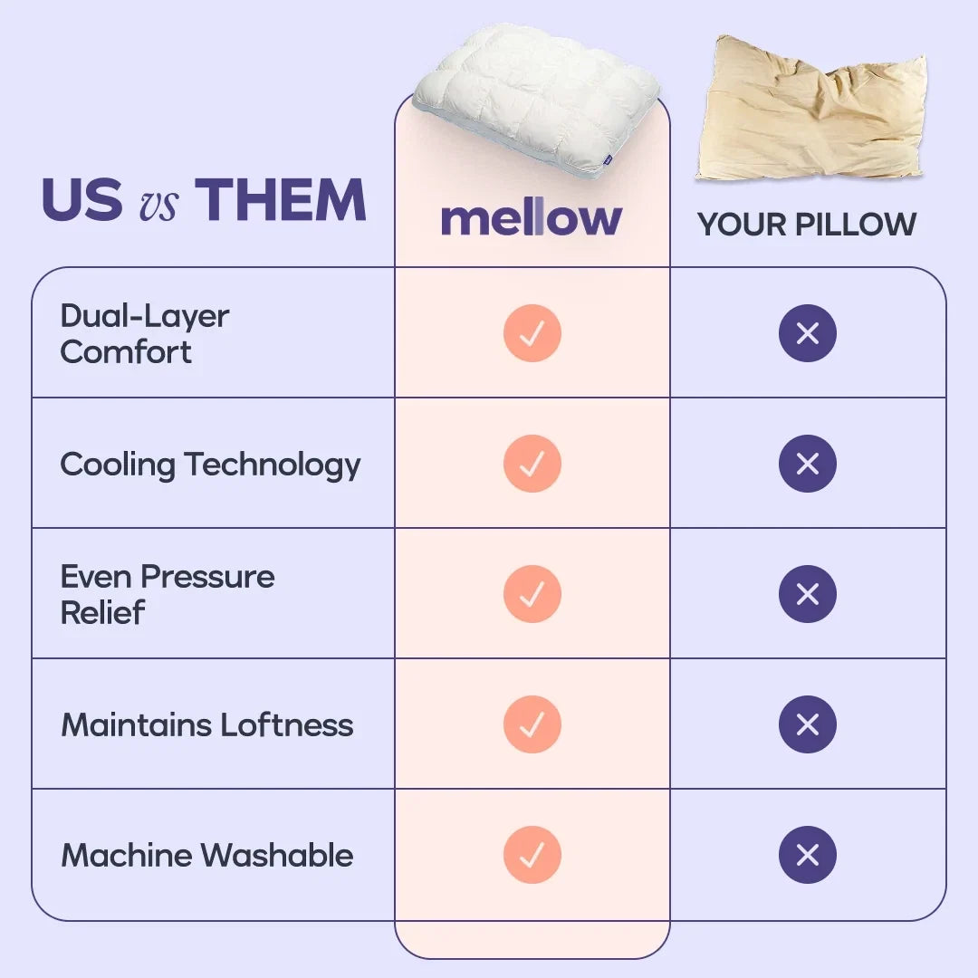 Comforter and 2 Pillow Set