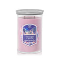 Large Tumbler Candle - Summit Stargazing