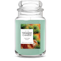 Large Fresh Pine Jar Candle