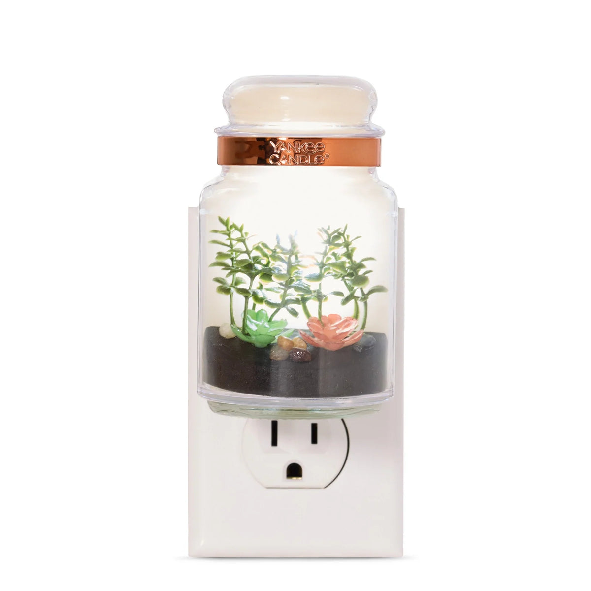 Glass Terrarium Plug-In Diffuser