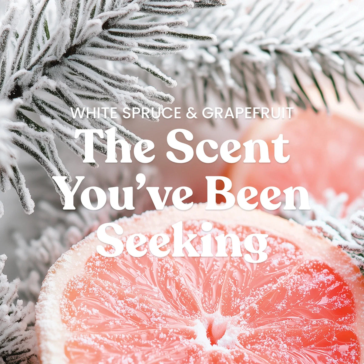 Large Tumbler Candle - Spruce Grapefruit