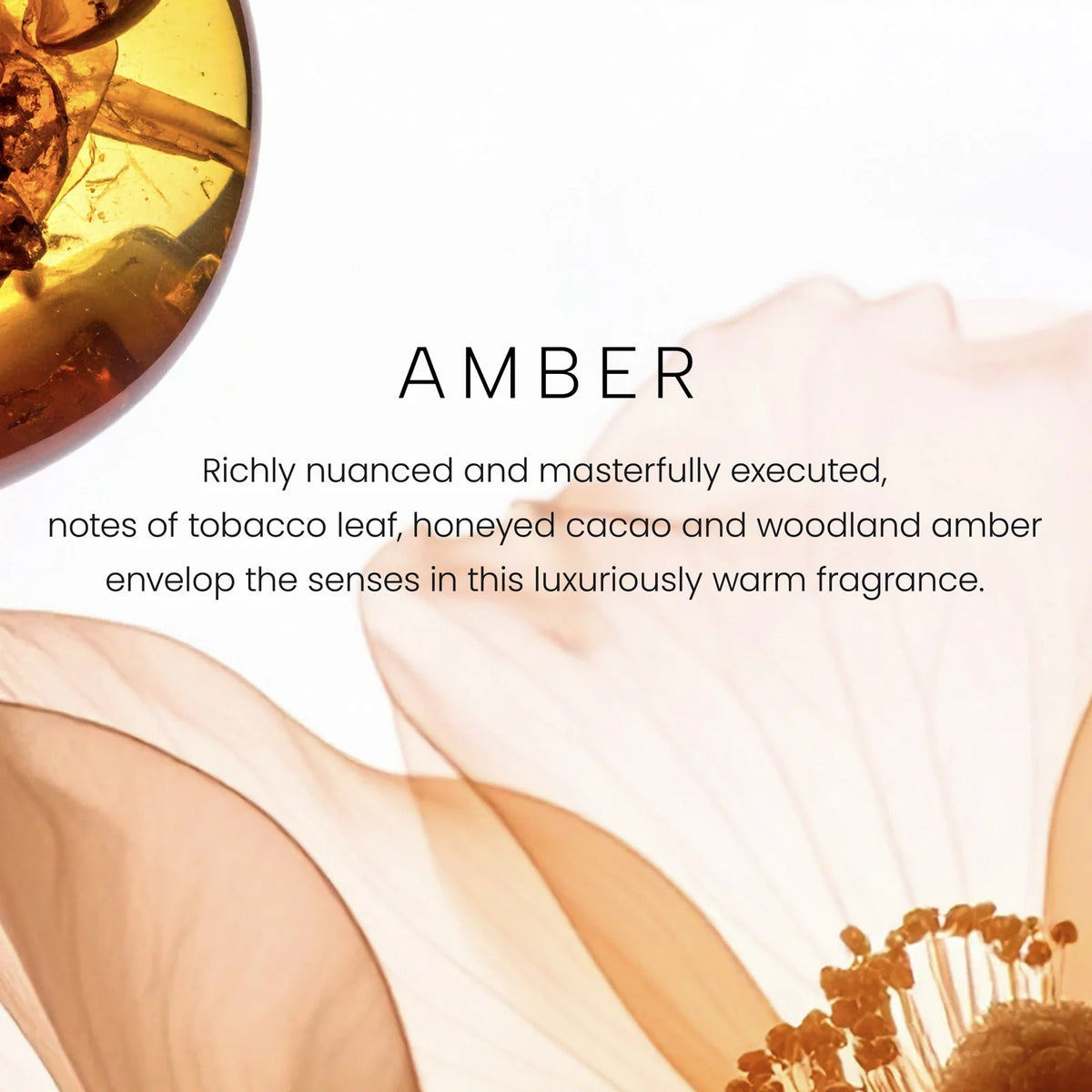 12 oz Two-Wick Amber Scented Candle