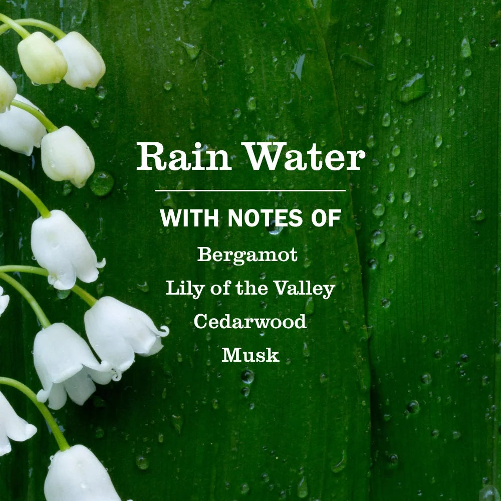 Multi-Surface Cleaner Concentrate - Rain Water