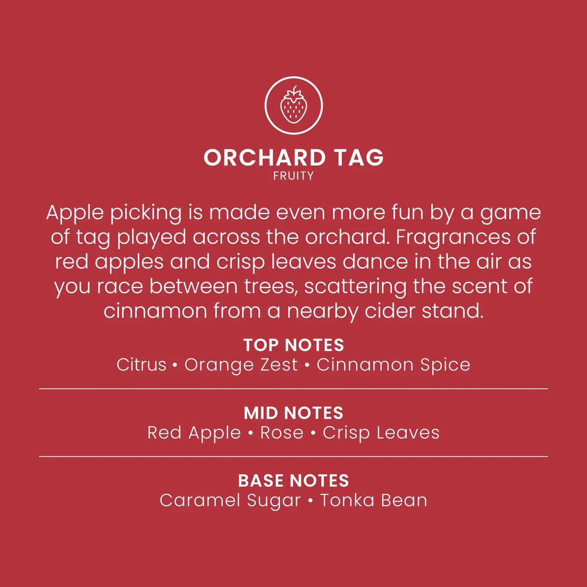 Large Tumbler Candle - Orchard Fruit
