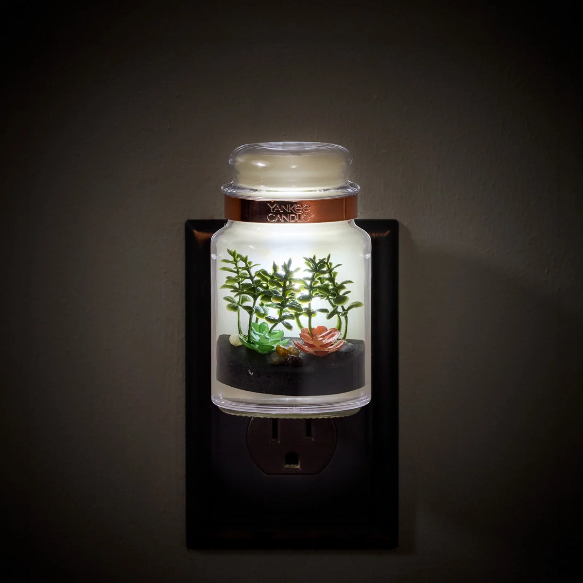 Glass Terrarium Plug-In Diffuser