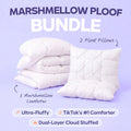 Comforter and 2 Pillow Set