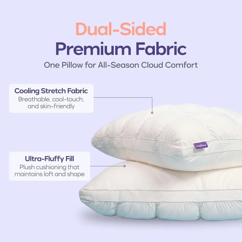 Comforter and 2 Pillow Set