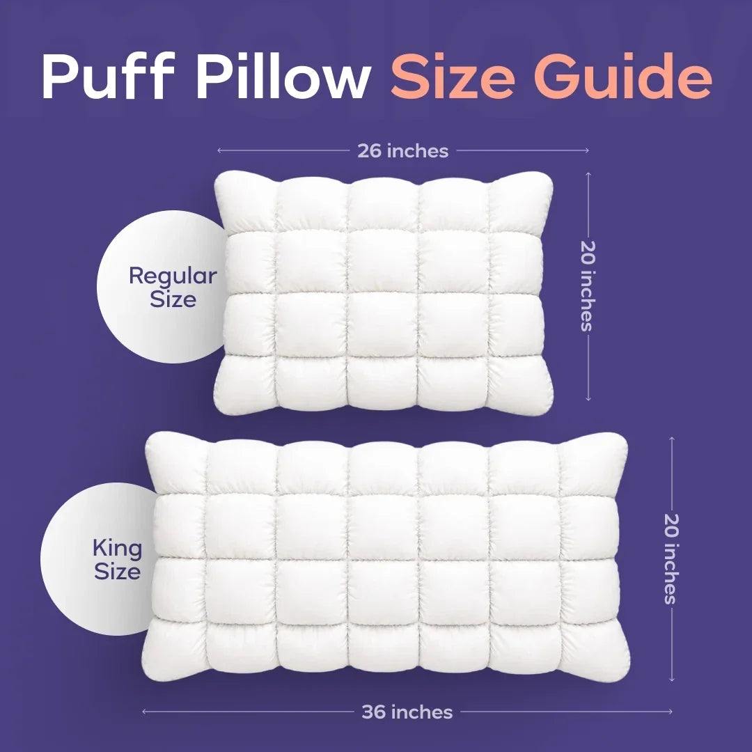 Comforter and 2 Pillow Set