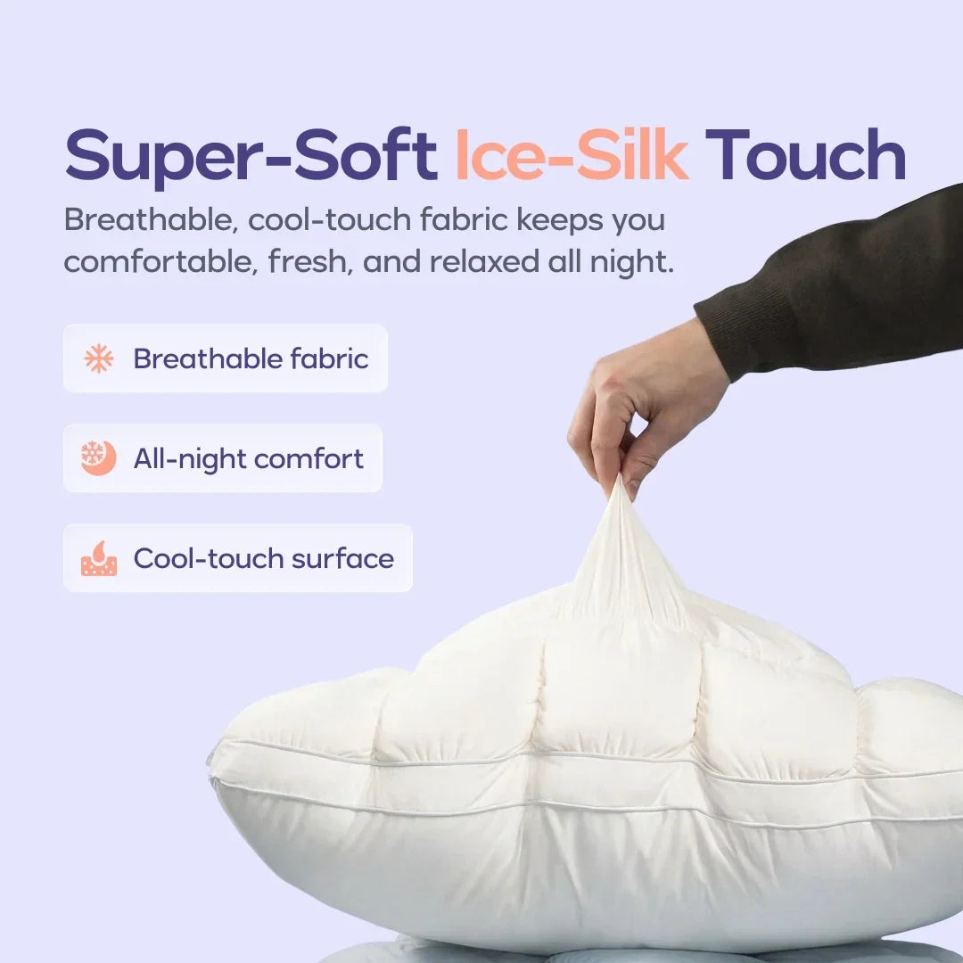 Comforter and 2 Pillow Set