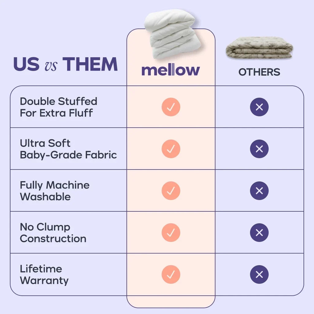 Comforter and 2 Pillow Set