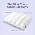 Cooling Bed Pillow - White, Standard